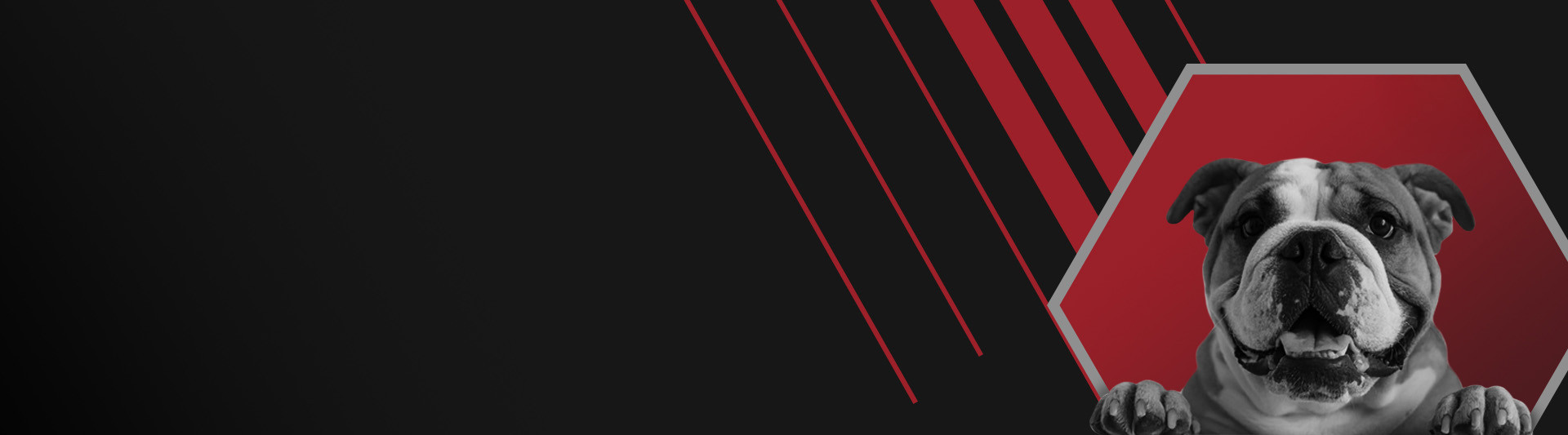 Need Help Using Our Site?